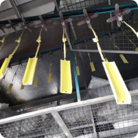 Electrostatic Powder Coating 1